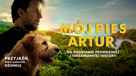 kantoflix|katoflix darmowe filmy.